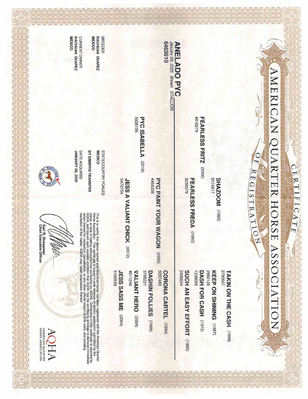 Certificado AQHA