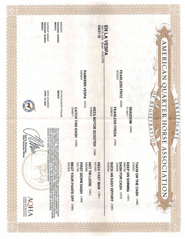 Certificado AQHA