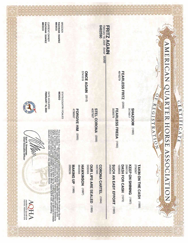 Certificado AQHA
