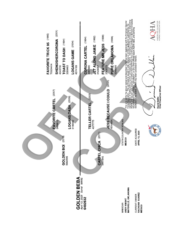 Certificado AQHA